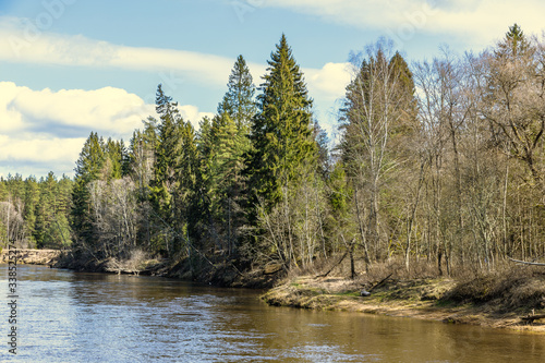 Spring landscape wild river in forest in Northern Europe