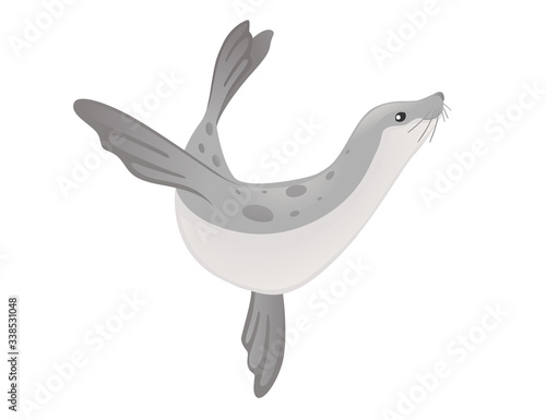 Cute seal cartoon animal design flat vector illustration isolated on white background
