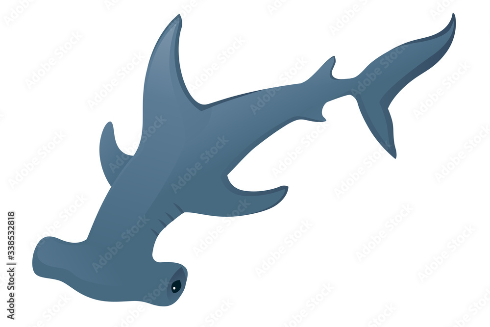 Hammerhead shark underwater giant animal simple cartoon character design flat vector illustration isolated on white background Hammerhead shark underwater giant animal simple cartoon character design flat vector illustration isolated on white background