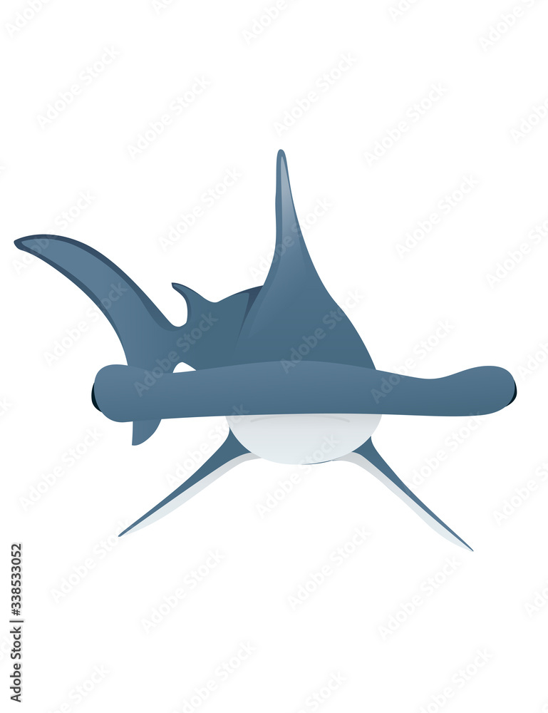 Fototapeta premium Hammerhead shark underwater giant animal simple cartoon character design flat vector illustration isolated on white background