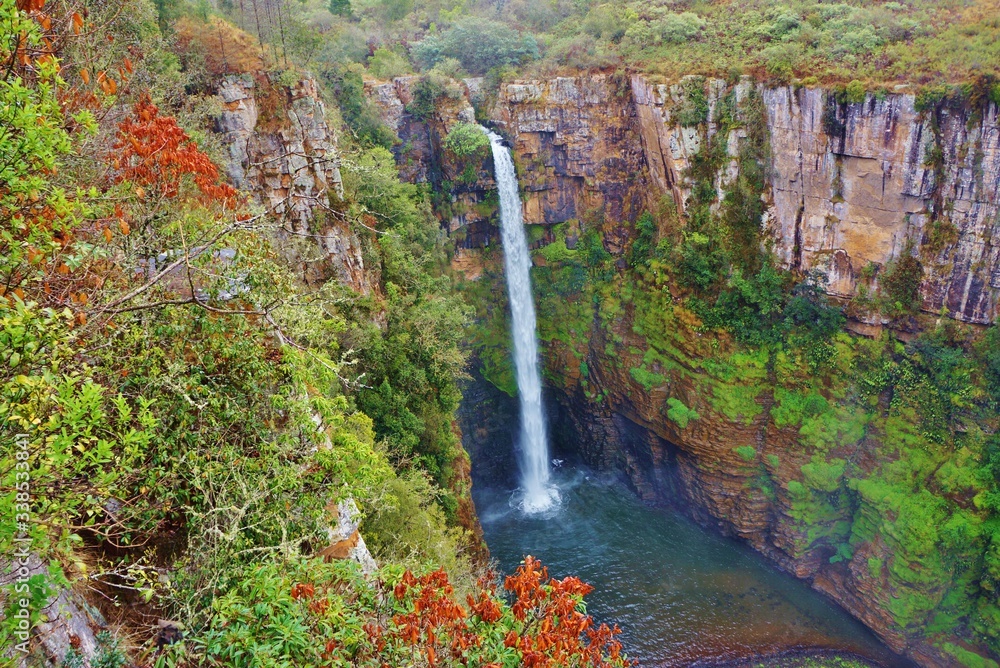 Φωτογραφία Stunning view of Mac Mac Falls in South Africa