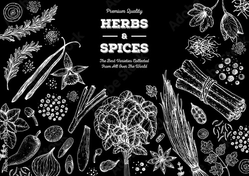 Herbs and spices hand drawn vector illustration. Aromatic plants. Hand drawn food sketch. Vintage illustration. Card design. Sketch style. Spice and herbs black and white design.