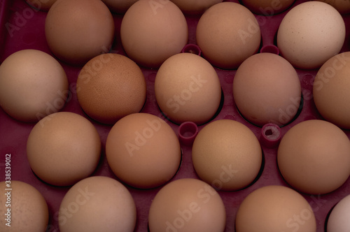 lots of eggs, chicken egg tray, Easter eggs