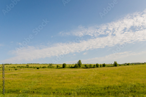 Gold meadow with green trees far away and blue sky. Bright summer. Perfect weather. Travelling