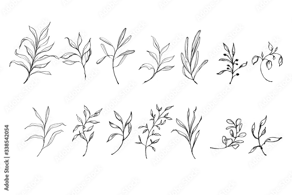 Beautiful set with watercolor foliage. Hand painted illustration. Green branches and leaves. Best for background, wallpaper, wrapping paper, textile, prints, wedding invitation, party supplies. Beautiful set with watercolor foliage. Hand painted illustration. Green branches and leaves. Best for background, wallpaper, wrapping paper, textile, prints, wedding invitation, party supplies.