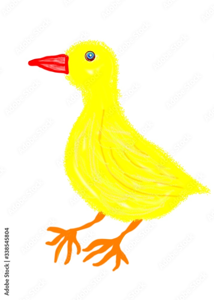 Little yellow bird on a white background - Lilleaker 