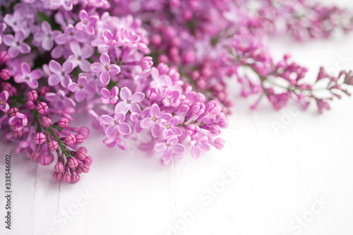 Lilac flowers on white background closeup  soft focus. Floral background 