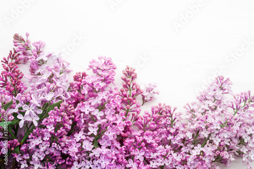 Lilac flowers on white background closeup  soft focus. Floral background 