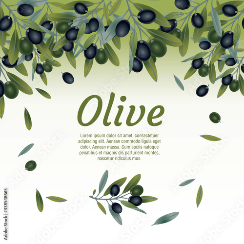 Organic natural food olive tree branch background vector illustration