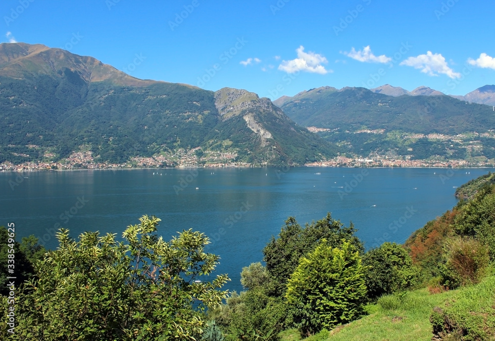 Lake and mountains covered by vegetation landscape in summer - Lake Como in Italy