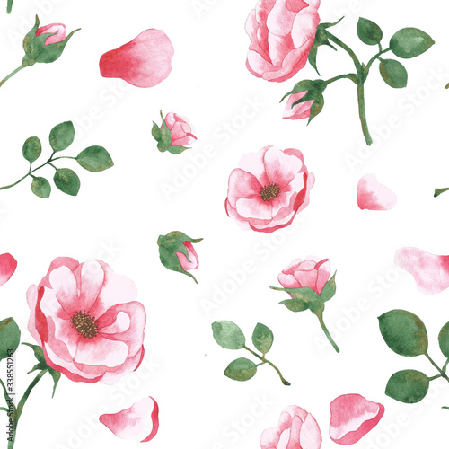 Set of watercolor drawing blooming rose hips with buds and green leaves. seamless pattern. Elements for design.