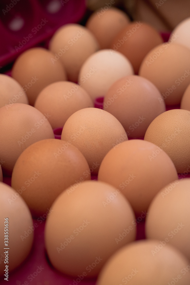 lots of eggs, chicken egg tray, Easter eggs lots of eggs, chicken egg tray, Easter eggs