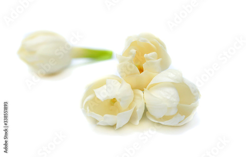 jasmine white flower isolated on white background. this has clipping path.