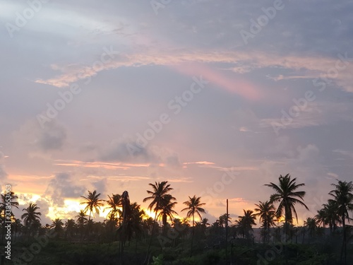 p  r do sol  natureza  coqueiros  palmeiras  fim de dia  c  u  azul  sol   praia 