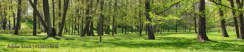 summer landscape, natural b...