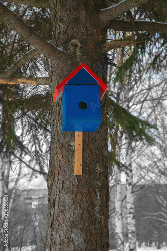 Blue birdhouse on a pine tree in the Park