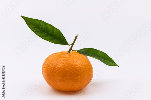 One whole clementine with green leaves isolated on white background