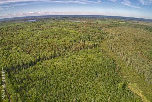 Sprawling nature preserve featuring bogs   forests in Northern Minnesota
