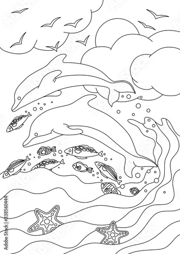 Wallpaper Mural COLORING BOOK WITH DOLPHINS AND FISH ON THE SKY BACKGROUND Torontodigital.ca