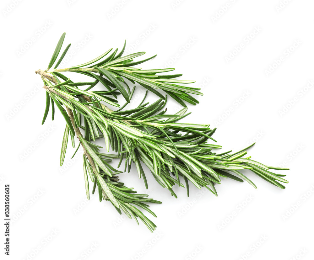Fresh rosemary on white background Fresh rosemary on white background