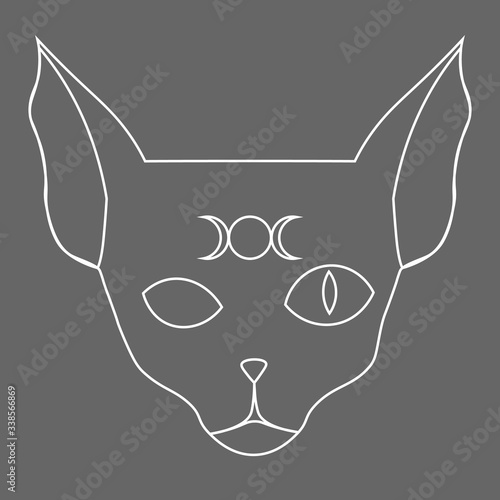Line art of sphynx cat with moon phases symbol on its forehead