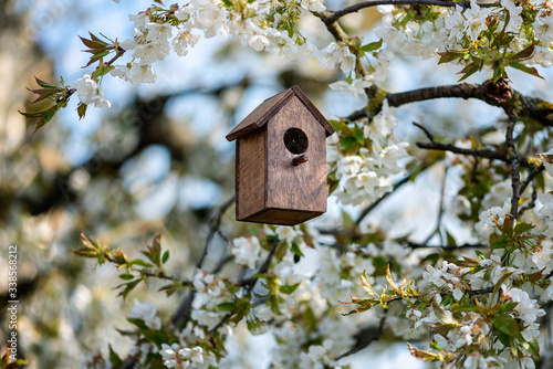 Birdhouse in spring with blossom cherryflower photo