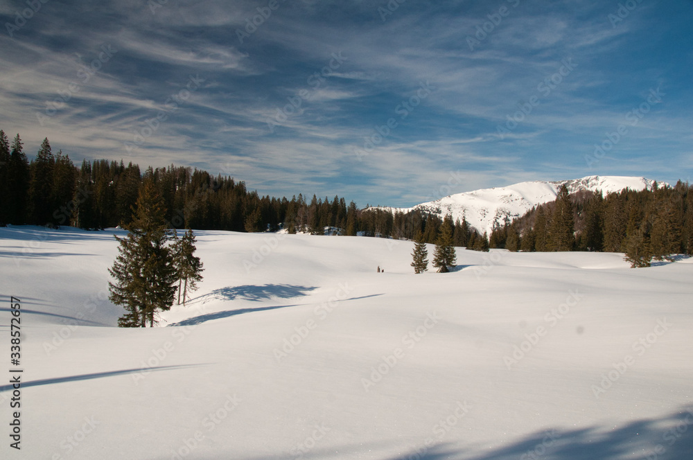 die feldwiesalm am hinter ötscher im tiefen winter mit sehr viel schnee unter damatischem wolken himmel die feldwiesalm am hinter ötscher im tiefen winter mit sehr viel schnee unter damatischem wolken himmel