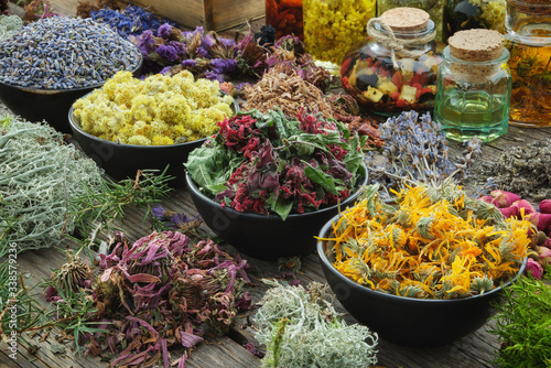 Bowls of dry medicinal herbs - lavender, cornflower coneflower, marigold, rose, Helichrysum flowers, healthy moss and lichen. Healing herbs assortment and infusion bottles. Herbal medicine. photo