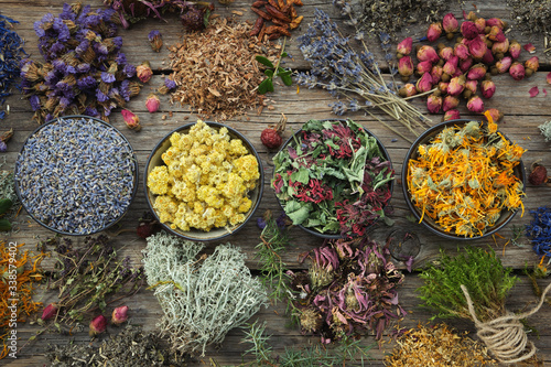 Bowls of dry medicinal herbs - lavender, coneflower, marigold, rose, Helichrysum, healthy moss and lichen. Healing herbs assortment on wooden table. Top view. Herbal medicine. photo