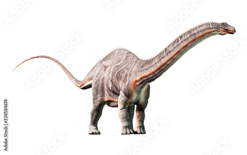 Fototapeta Naklejka Na Ścianę i Meble -  Apatosaurus was a sauropod dinosaur. A herbivore, it lived in during the Late Jurassic Period in what is now North America. On a white background. 3D Rendering