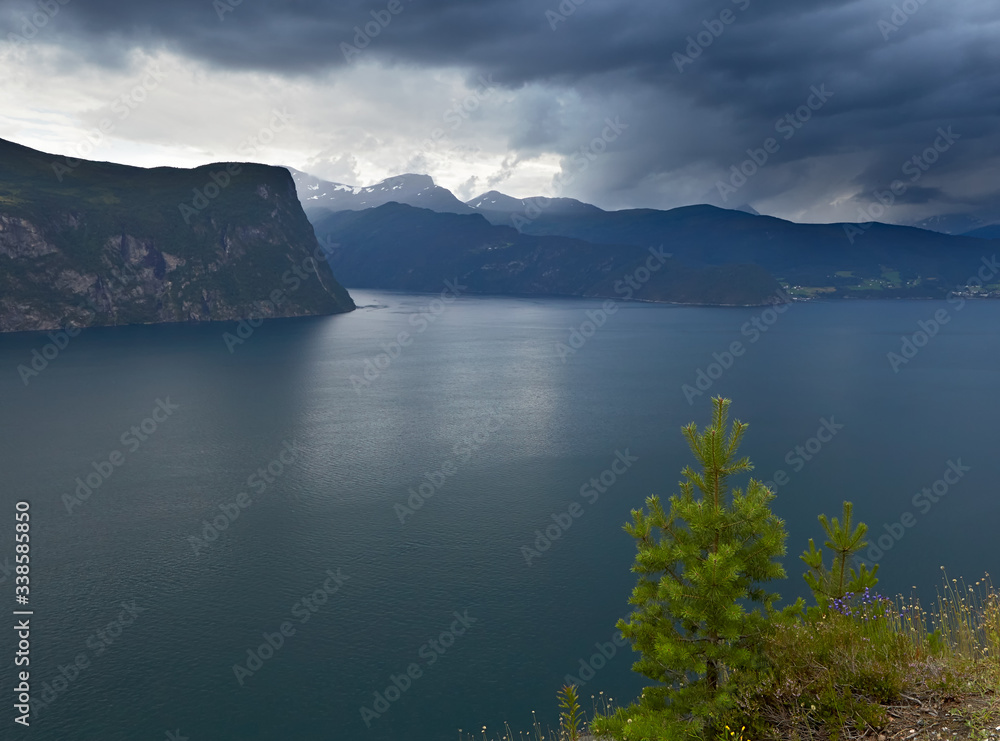 Norway. Summer. In the lower right corner is a part of the shore with growing grass and spruce. In the center and in the background is a large bay and stone fjords. Very dark, gloomy sky.