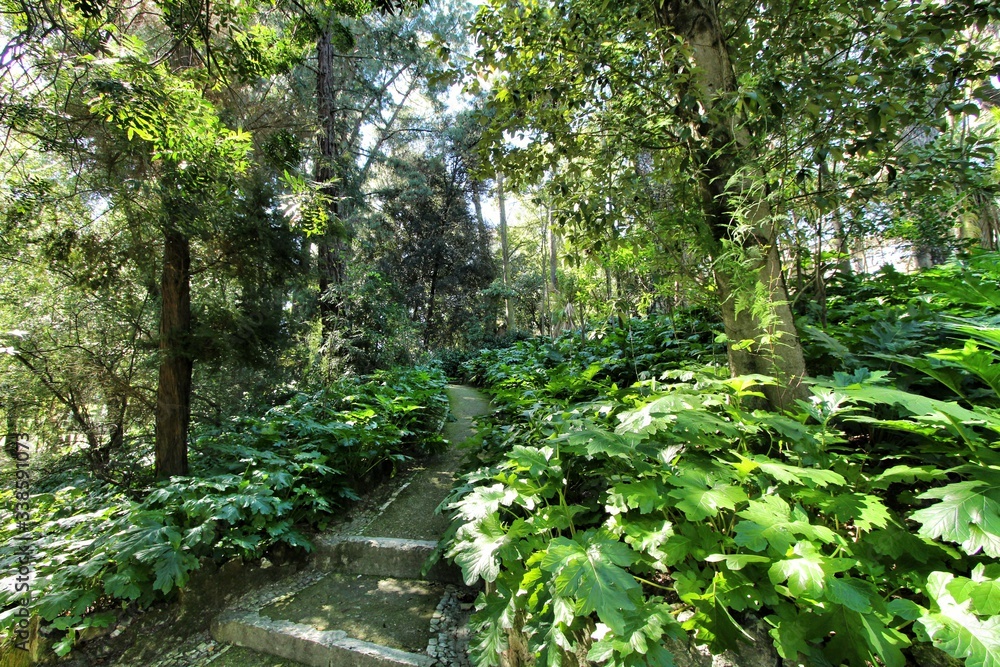 Leafy and green gardens at the Botanical Garden of Lisbon Leafy and green gardens at the Botanical Garden of Lisbon