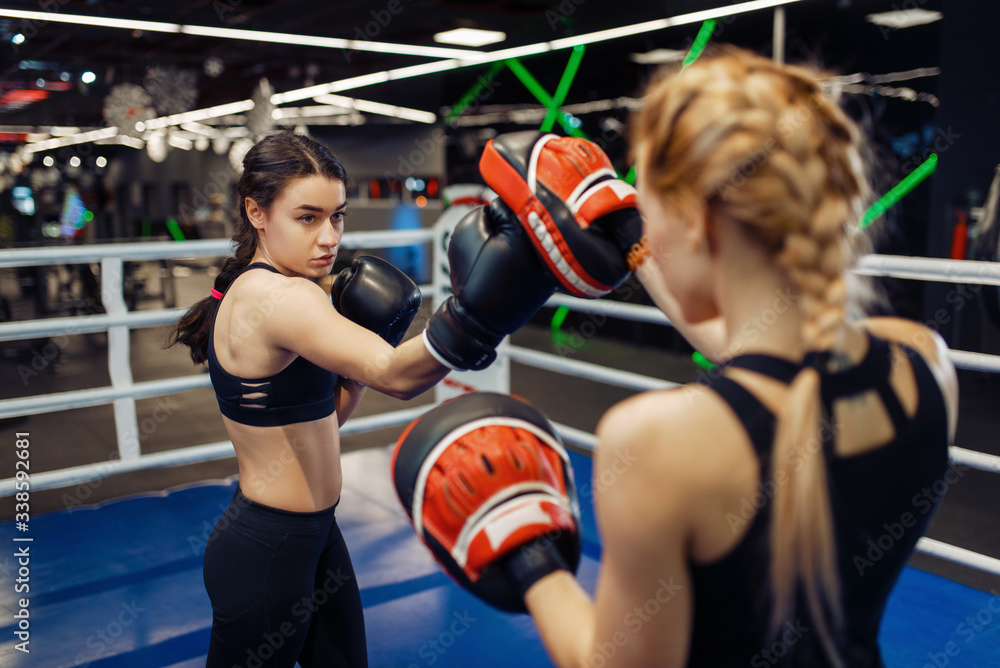 Two women boxing in the ring, box training Stock Photo | Adobe Stock