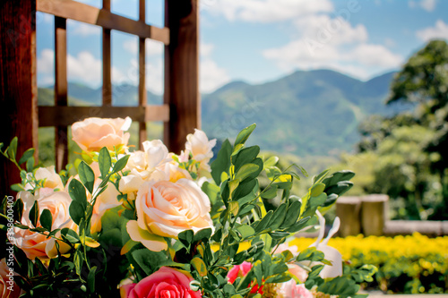 Flowers with mountains in the background