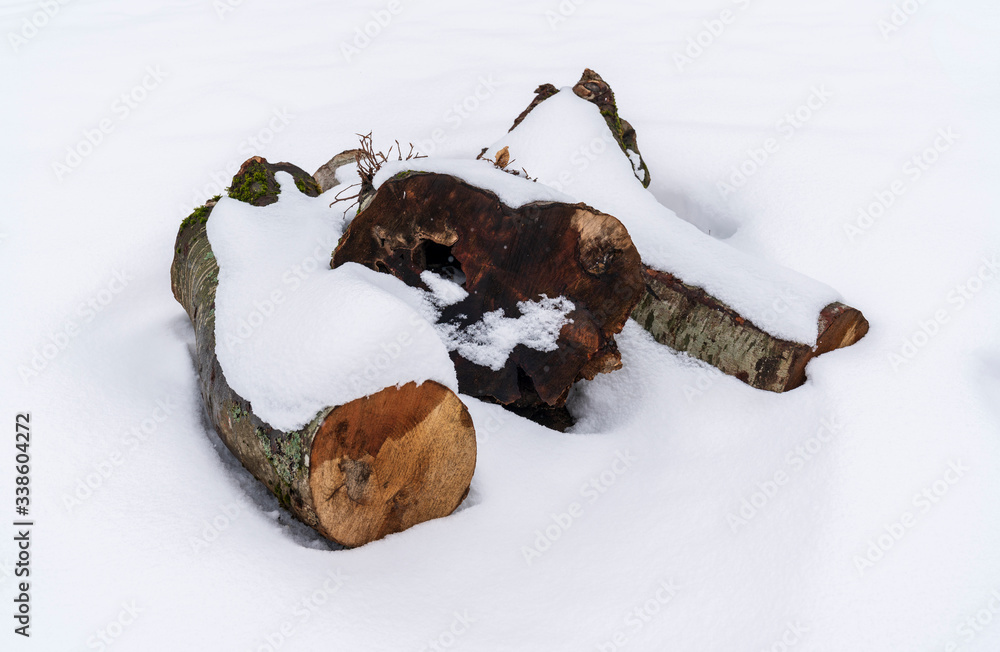 Outdoor Stack of Firewood Covered in Fresh Snow. March 18, 2020 Turkey