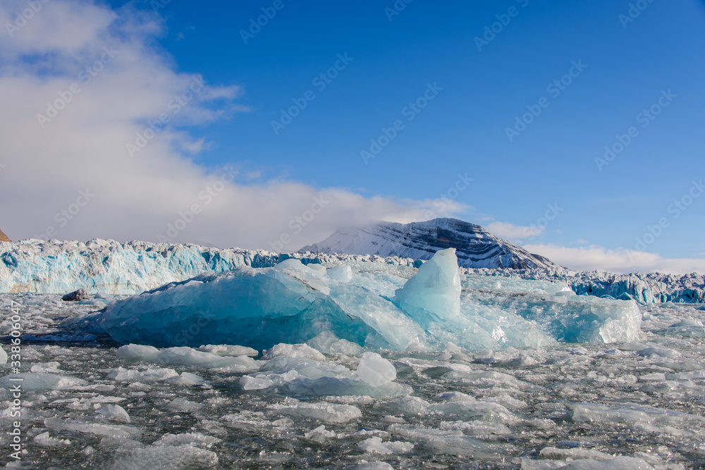 Naklejka premium Landscape with glacier in Svalbard at summer time. Sunny weather.