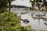 Yachts parking in Saint-Valery-en-Caux harbour in France. Beautiful view of the bay with yachts through the crown of trees