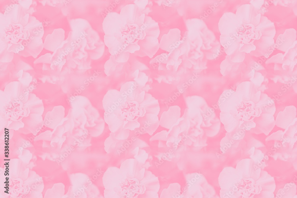 Seamless flowers background. Pale pink floral background, delicate carnation flowers pattern