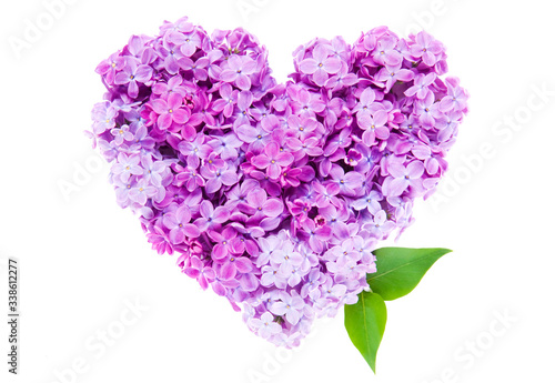 Heart symbol made of fresh violet Lilac flowers isolated on white background. Love concept for Valentine's and Mother's Day