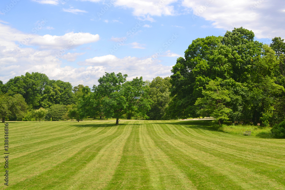 Freshly mowed, large wide open grassy field with trees in background with blue sky with clouds. Horizontal with copy space.