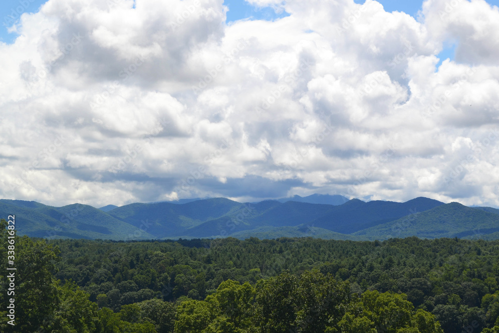 Blue Ridge Mountains horizon landscape with trees in foreground and white clouds above. Background with copy space.
