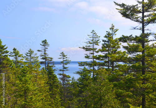 Scenic mountain top view looking down onto Maine coastline landscape with pine trees, blue sky and ocean in the background. Copy space.
