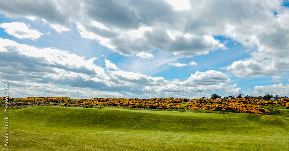 Fototapeta premium 14th hole, Royal Dornoch Golf Club