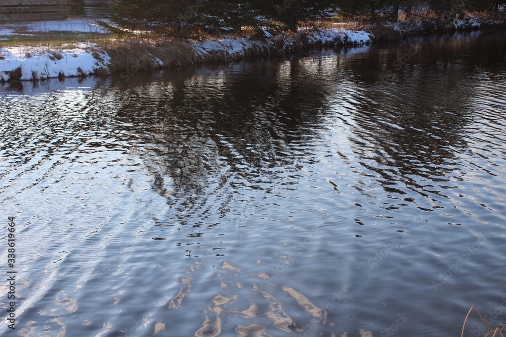 Fototapeta premium reflection in water