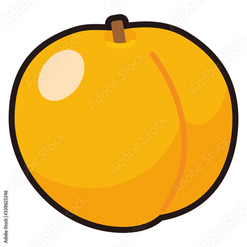 杏子 アプリコットのアイコン -vector icon apricot