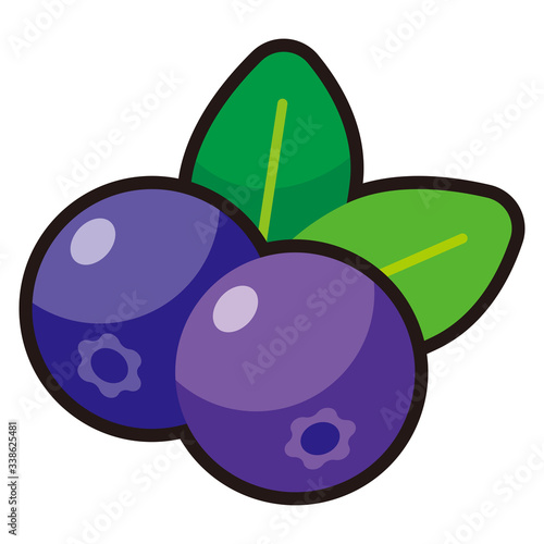 Wallpaper Mural ブルーベリーのアイコン -vector icon blueberry Torontodigital.ca