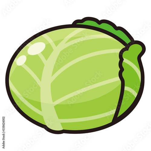 キャベツのアイコン -vector icon cabbage