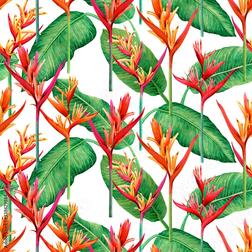 watercolor painting bird of paradise blooming flowers,colorful seamless pattern on white background.Watercolor green leaves illustration tree tropical exotic leaf for wallpaper.