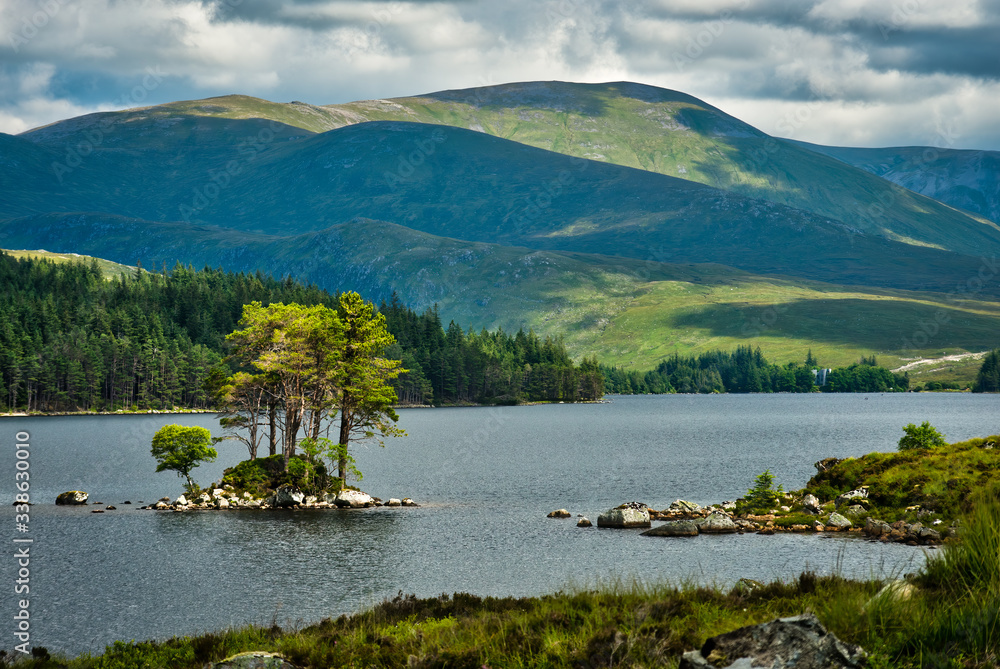 Trees grow on tiny island in Scottish Highlands lake