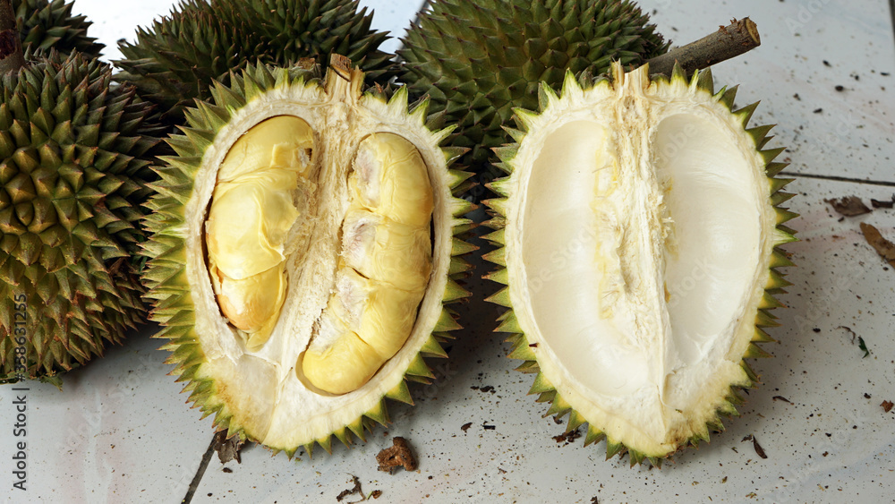 Fototapeta premium Durian on a white background